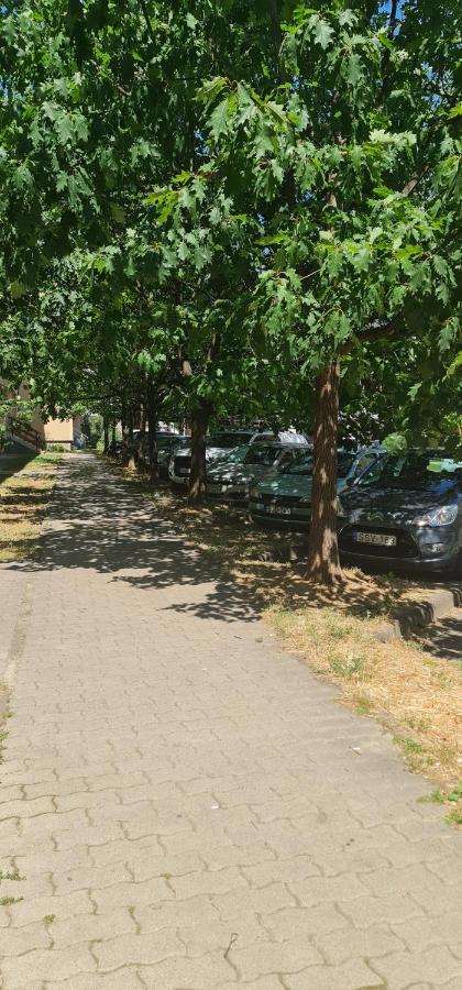Ybs Apartman Apartman Zalaegerszeg Kültér fotó